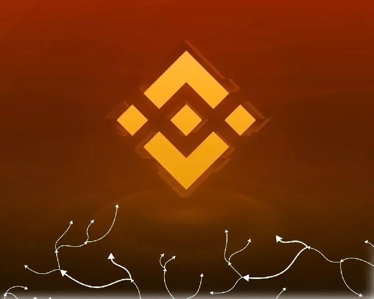 
			Binance раскрыла детали расследования переводов на связанные с Ираном адреса		