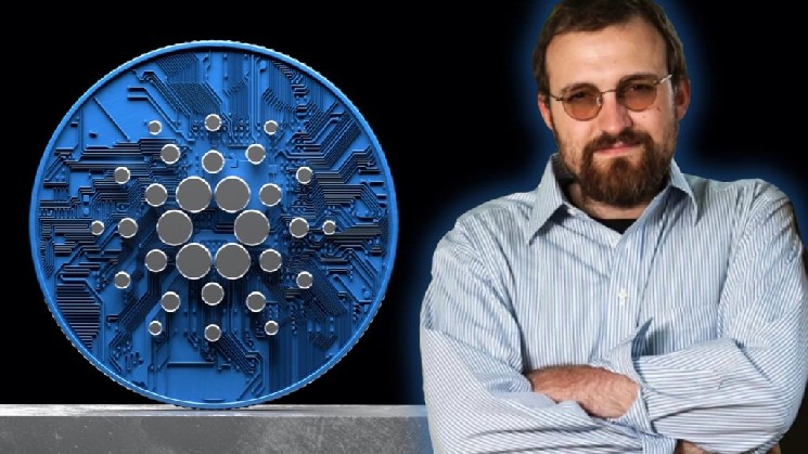 Основатель Cardano Чарльз Хоскинсон рассказал о снижении цены ADA